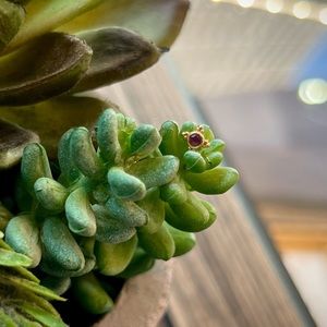 BVLA Mini Kandy in Solid Yellow Gold with Genuine Amethyst (threadless)